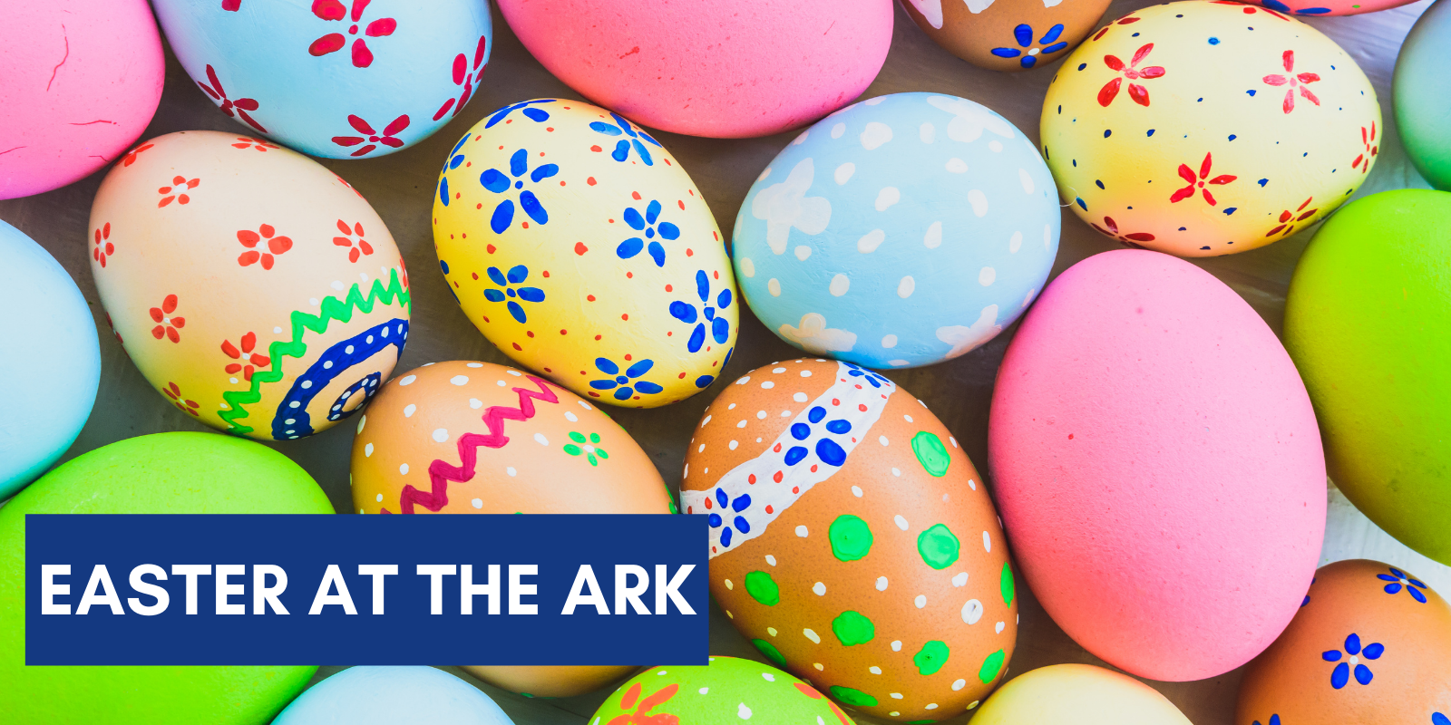 Easter at the Ark Noahs Ark Children's Hospital Charity