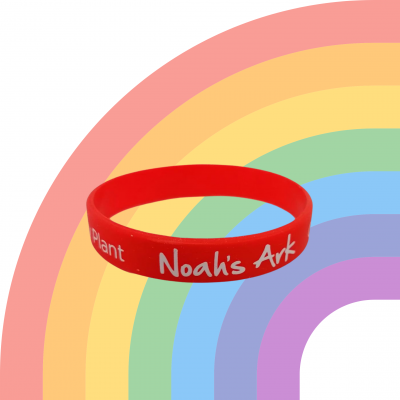 ID: White background with faded rainbow and a red wristband with 'Noah's Ark Charity' in white